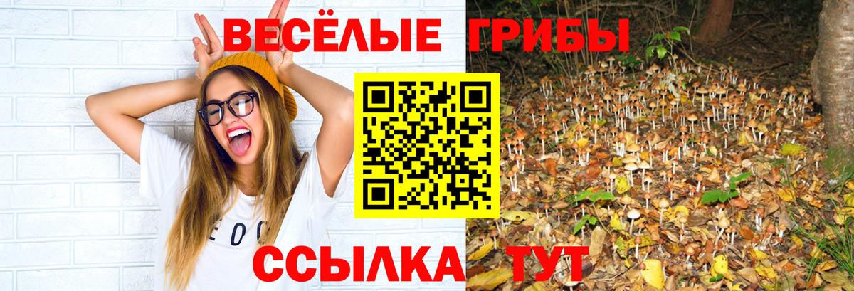 Усолье-Сибирское  Галлюциногенные грибы прущие грибы  Вход с VPN 